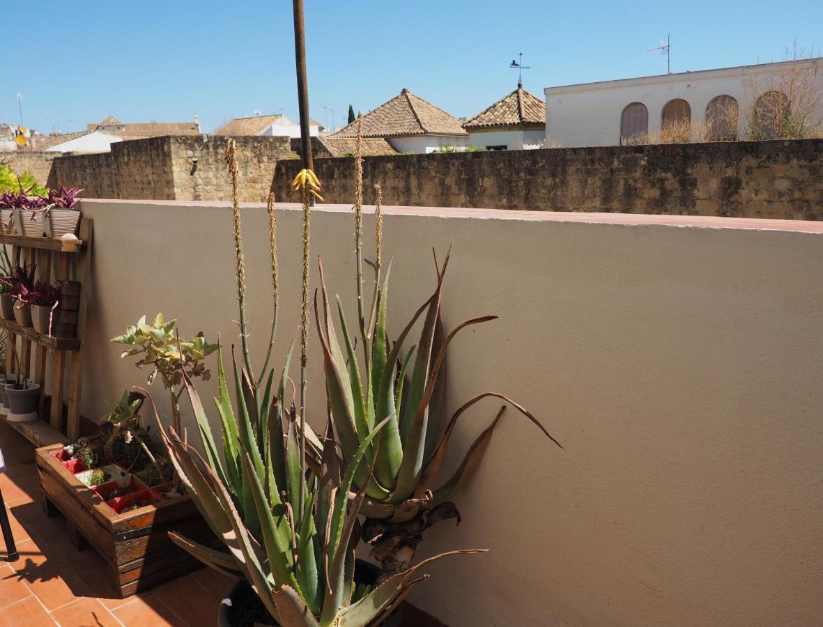 Apartamento En Juderia La Murallita 科爾多瓦 外观 照片